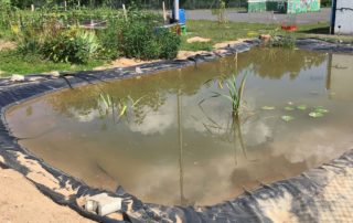 Wir werden Umweltschule!