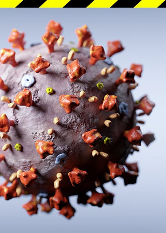 Coronavirus (COVID-19) Coronavirus (COVID-19)