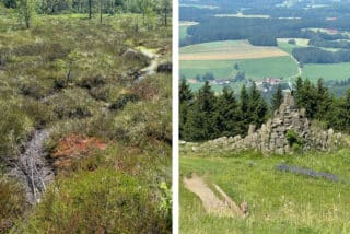 Klassenfahrt der 6a - 2024